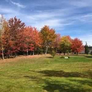 Meet your Posher, Troy